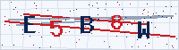 Security CAPTCHA Code